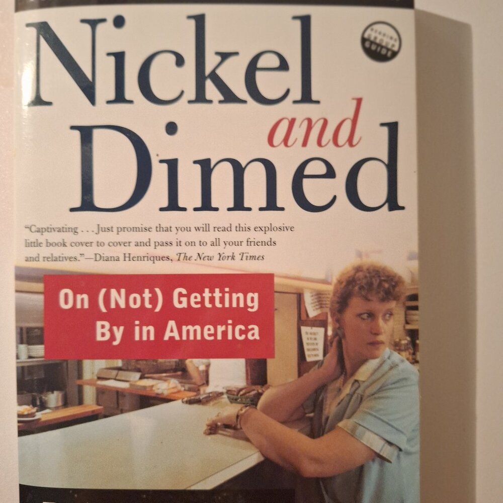 "Nickled and Dimed in America"- still relavant.
